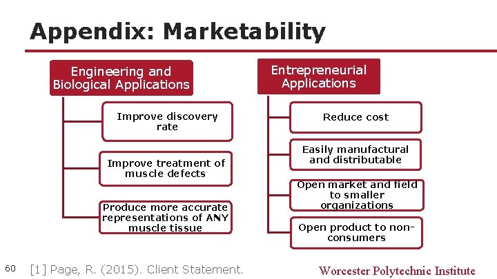 Appendix: Marketability Engineering and Biological Applications Improve discovery rate Improve treatment of muscle defects