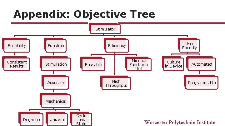 Appendix: Objective Tree Stimulator Reliability Function Consistent Results Stimulation User Friendly Efficiency Minimal Functional