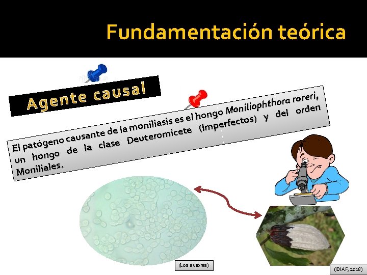 Fundamentación teórica i, i, r e r o r a thor h p o