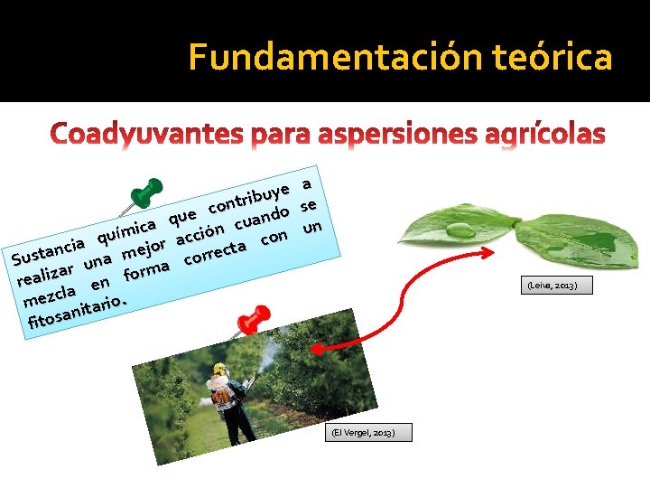 Fundamentación teórica ye u b i r ont c o e d u n