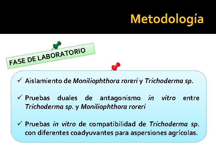 Metodología RIO O T A R O B A L E D FASE ü