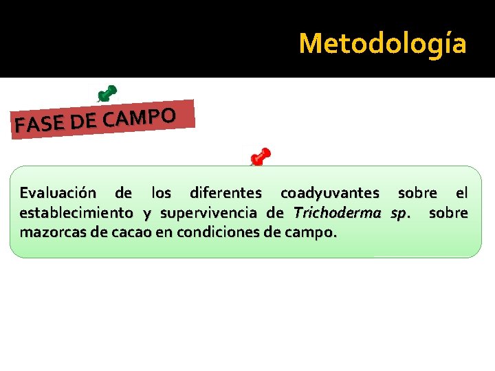 Metodología O P M A C E D E S A F Evaluación de