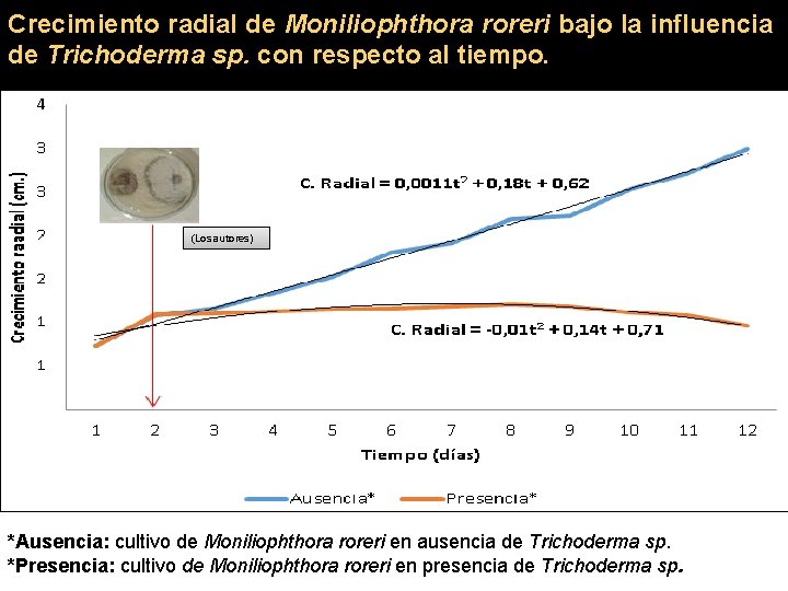 Crecimiento radial de Moniliophthora roreri bajo la influencia de Trichoderma sp. con respecto al