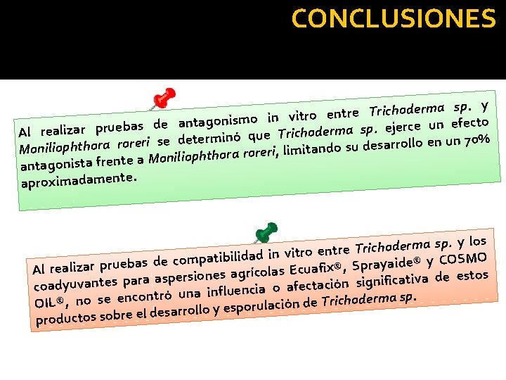 CONCLUSIONES sp. y a rm e d o h c ri T e tr