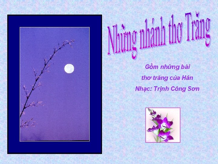 Gồm những bài thơ trăng của Hân Nhạc: Trịnh Công Sơn 