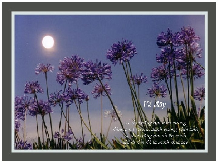 Về đây nắng đợi mưa sương đành sai lời hứa, đành vương khối tình