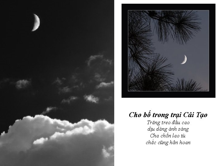 Cho bố trong trại Cải Tạo Trăng treo đầu cao dịu dàng ánh sáng