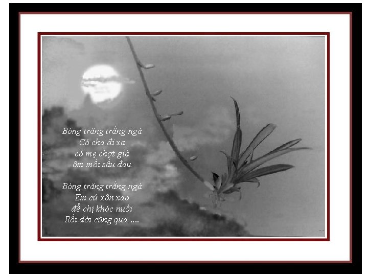 Bóng trăng trắng ngà Có cha đi xa có mẹ chợt già ôm mối