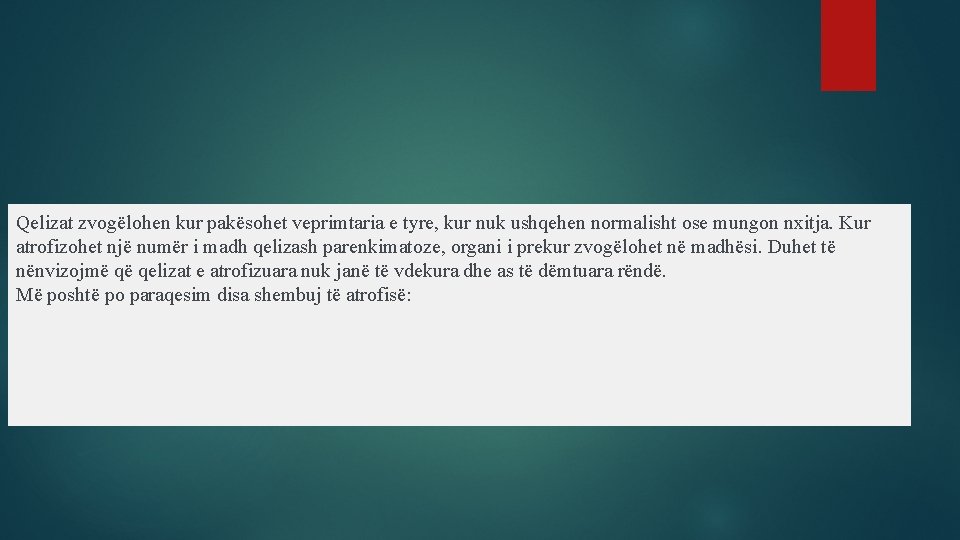 Qelizat zvogëlohen kur pakësohet veprimtaria e tyre, kur nuk ushqehen normalisht ose mungon nxitja.