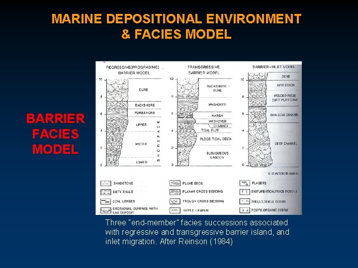 MARINE DEPOSITIONAL ENVIRONMENT & FACIES MODEL BARRIER FACIES MODEL Three “end-member” facies successions associated