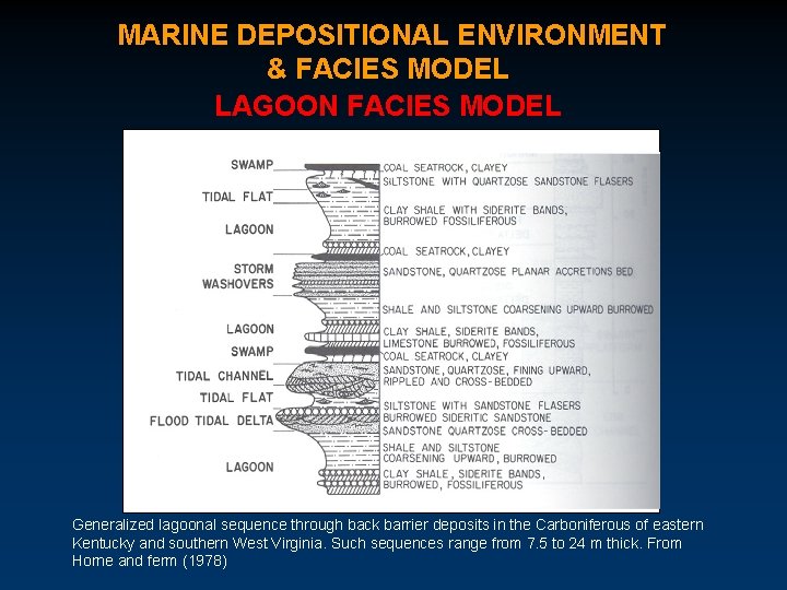 MARINE DEPOSITIONAL ENVIRONMENT & FACIES MODEL LAGOON FACIES MODEL Generalized lagoonal sequence through back