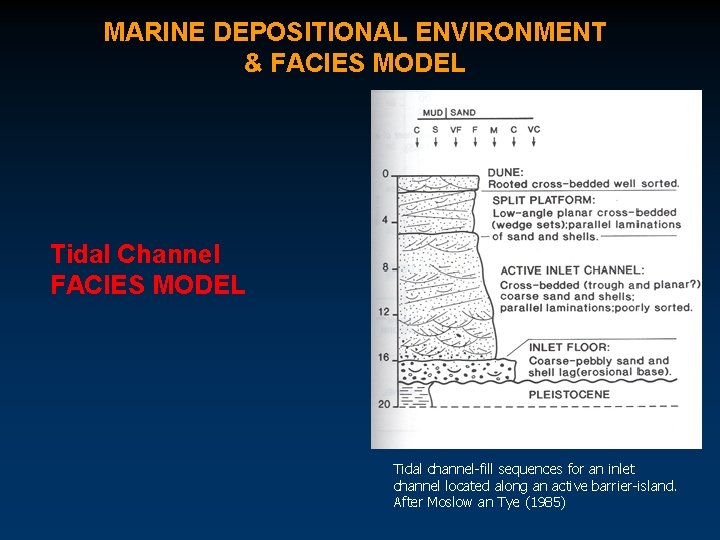 MARINE DEPOSITIONAL ENVIRONMENT & FACIES MODEL Tidal Channel FACIES MODEL Tidal channel-fill sequences for
