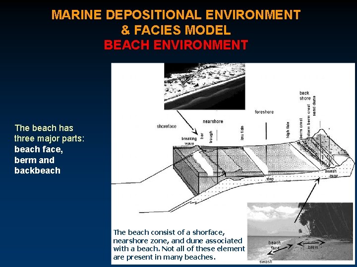 MARINE DEPOSITIONAL ENVIRONMENT & FACIES MODEL BEACH ENVIRONMENT The beach has three major parts: