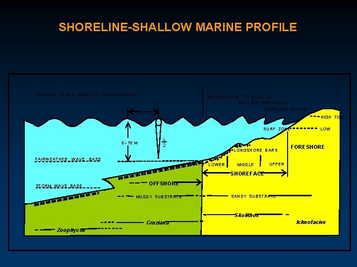 SHORELINE-SHALLOW MARINE PROFILE VERTICAL SCALE GREATLY EXAGGERATED WAVES BEGIN TO BUILD UP SPILLING BREAKERS