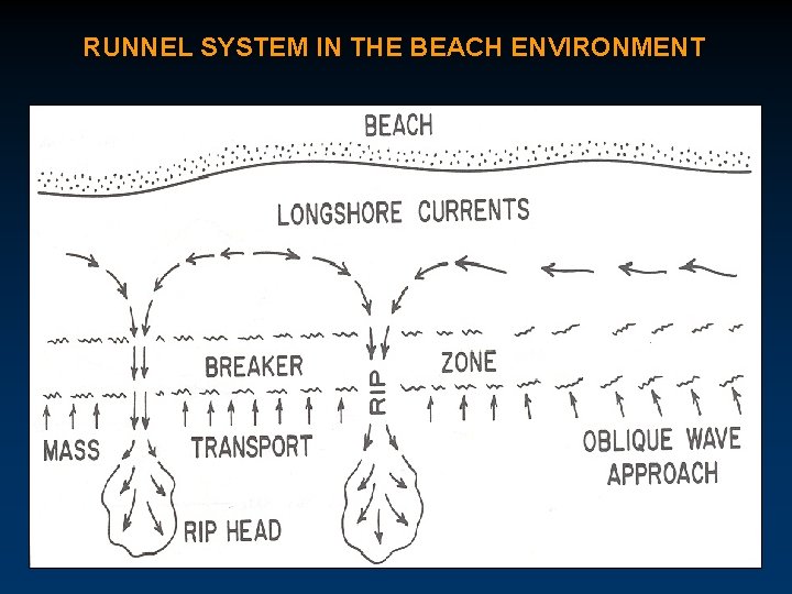 RUNNEL SYSTEM IN THE BEACH ENVIRONMENT 