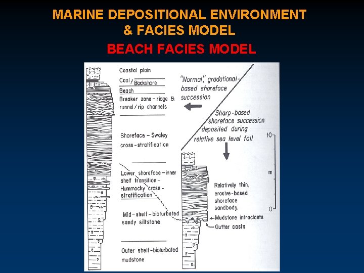 MARINE DEPOSITIONAL ENVIRONMENT & FACIES MODEL BEACH FACIES MODEL 