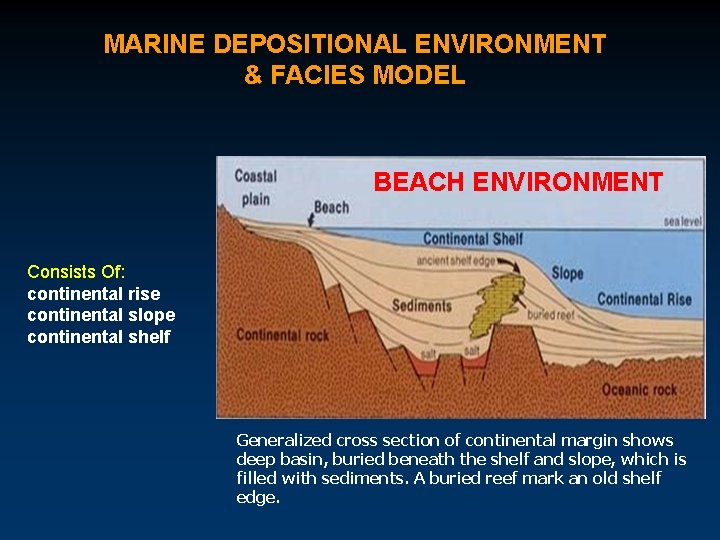 MARINE DEPOSITIONAL ENVIRONMENT & FACIES MODEL BEACH ENVIRONMENT Consists Of: continental rise continental slope