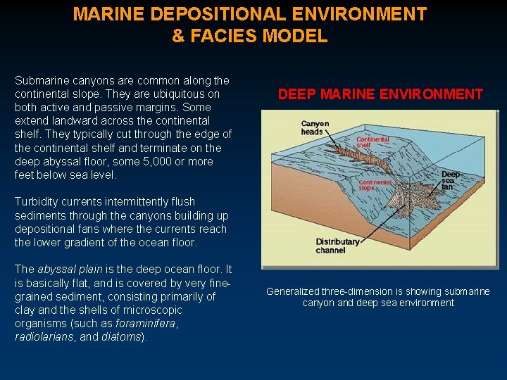 MARINE DEPOSITIONAL ENVIRONMENT & FACIES MODEL Submarine canyons are common along the continental slope.