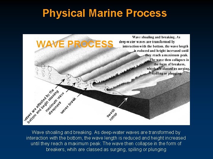 Physical Marine Process WAVE PROCESS Wave shoaling and breaking. As deep-water waves are transformed