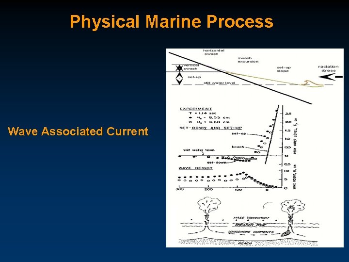 Physical Marine Process Wave Associated Current 