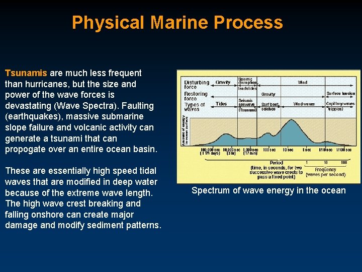 Physical Marine Process Tsunamis are much less frequent than hurricanes, but the size and