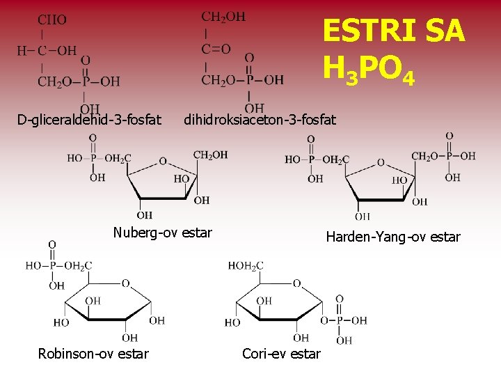 ESTRI SA H 3 PO 4 D-gliceraldehid-3 -fosfat dihidroksiaceton-3 -fosfat Nuberg-ov estar Robinson-ov estar