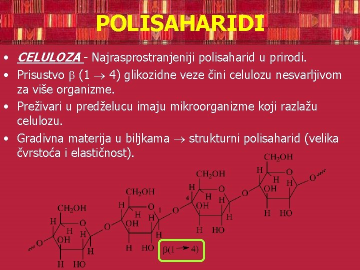 POLISAHARIDI • CELULOZA - Najrasprostranjeniji polisaharid u prirodi. • Prisustvo (1 4) glikozidne veze