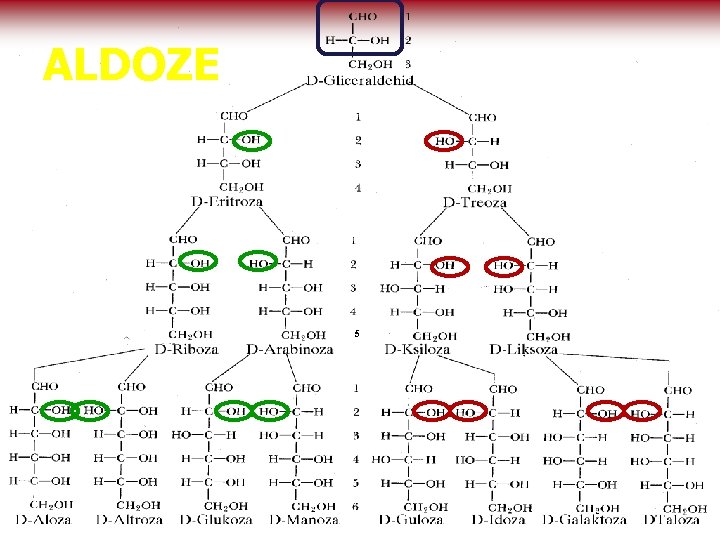 ALDOZE 5 