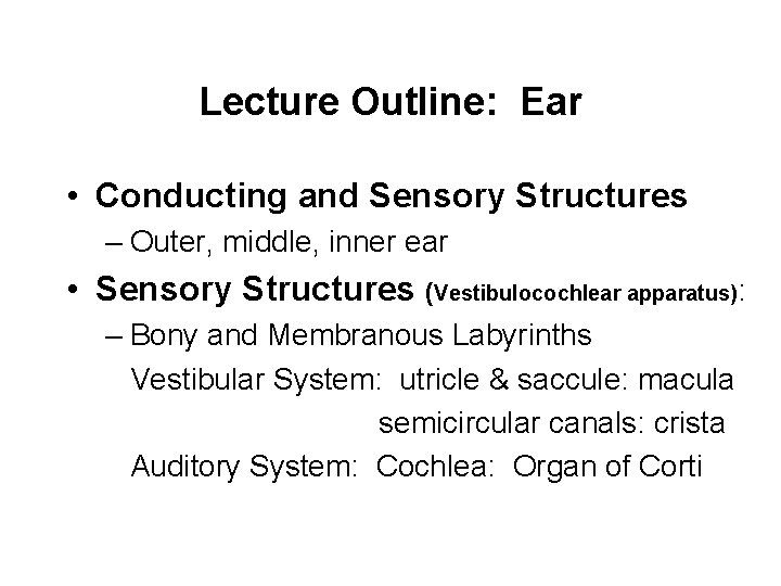 Lecture Outline: Ear • Conducting and Sensory Structures – Outer, middle, inner ear •