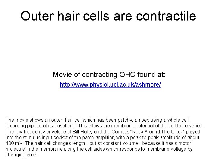 Outer hair cells are contractile Movie of contracting OHC found at: http: //www. physiol.