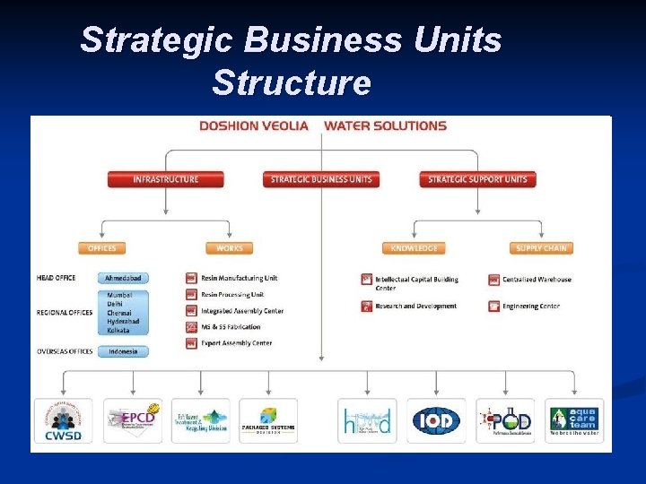 Strategic Business Units Structure 