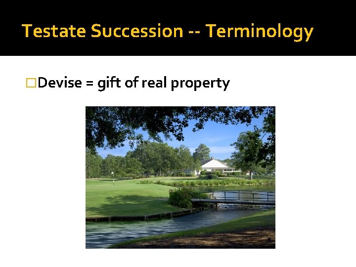 Testate Succession -- Terminology �Devise = gift of real property 