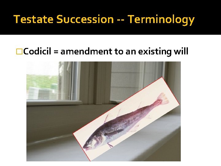 Testate Succession -- Terminology �Codicil = amendment to an existing will 