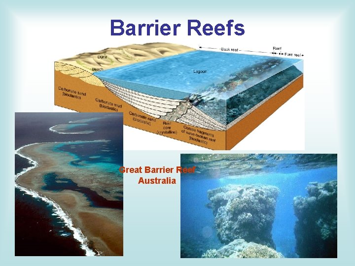 Barrier Reefs Great Barrier Reef Australia 