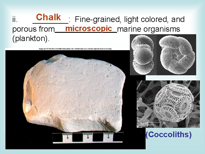 Chalk ii. ____: Fine-grained, light colored, and porous from microscopic marine organisms (plankton). (Coccoliths)