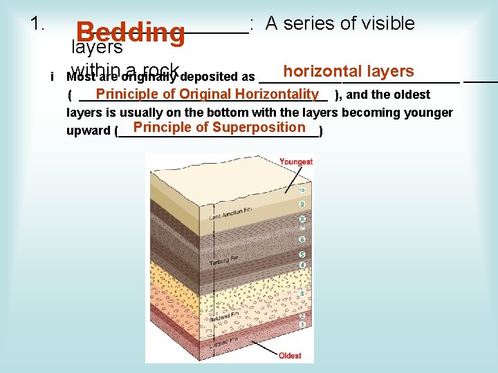 1. i ________: A series of visible Bedding layers within a rock deposited as