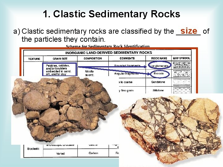 1. Clastic Sedimentary Rocks a) Clastic sedimentary rocks are classified by the ______ size