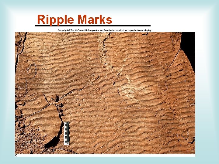 Ripple Marks __________ 