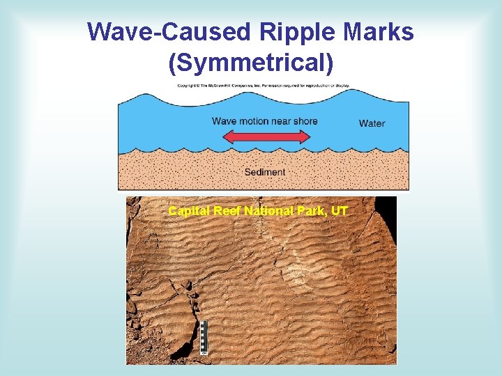 Wave-Caused Ripple Marks (Symmetrical) Capital Reef National Park, UT 