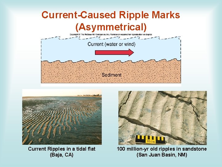 Current-Caused Ripple Marks (Asymmetrical) Current Ripples in a tidal flat (Baja, CA) 100 million-yr