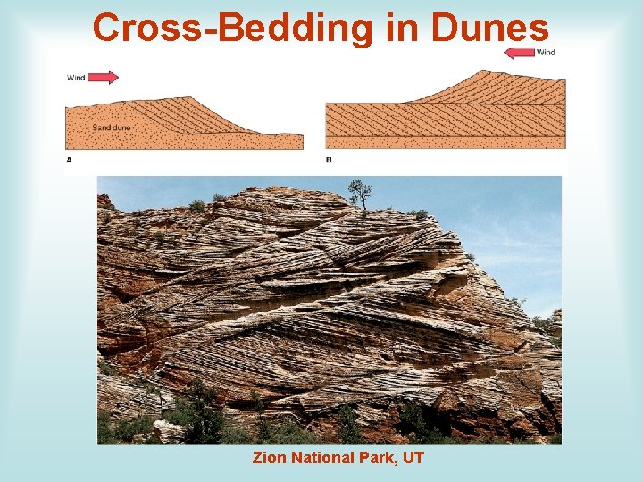 Cross-Bedding in Dunes Zion National Park, UT 