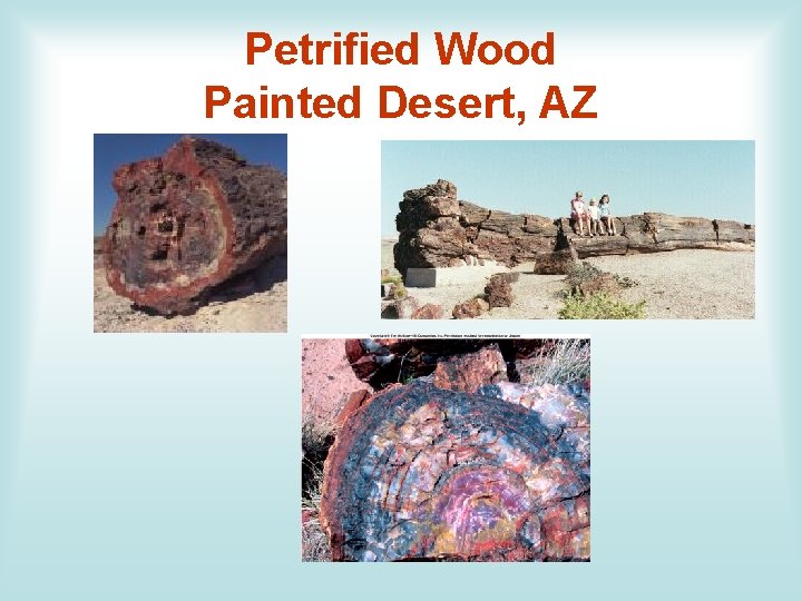 Petrified Wood Painted Desert, AZ 