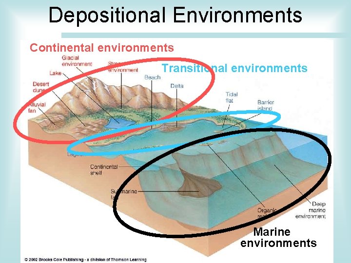 Depositional Environments Continental environments Transitional environments Marine environments 