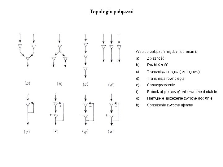 Topologia połączeń Wzorce połączeń między neuronami: a) Zbieżność b) Rozbieżność c) Transmisja seryjna (szeregowa) Topologia połączeń Wzorce połączeń między neuronami: a) Zbieżność b) Rozbieżność c) Transmisja seryjna (szeregowa)