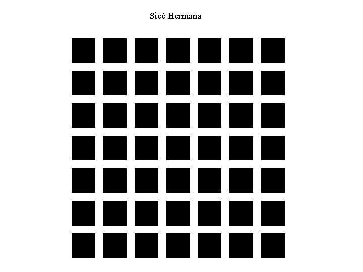 Sieć Hermana Sieć Hermana