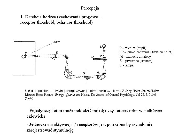 Percepcja 1. Detekcja bodźca (zachowanie progowe – receptor threshold, behavior threshold) P – źrenica