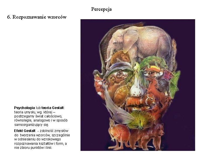 Percepcja 6. Rozpoznawanie wzorców Psychologia lub teoria Gestalt: teoria umysłu, wg. której – postrzegamy