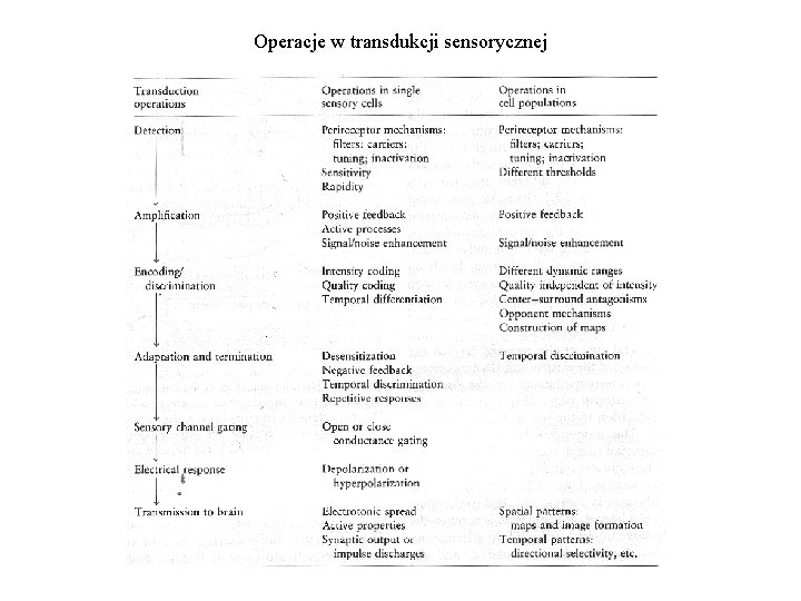 Operacje w transdukcji sensorycznej 