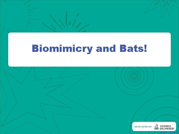 Biomimicry and Bats! ©Science Delivered 2019 