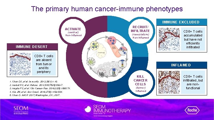 The primary human cancer-immune phenotypes IMMUNE EXCLUDED ACTIVATE (central) Non-Inflamed RECRUIT/ INFILTRATE (vasculature) Non-Inflamed